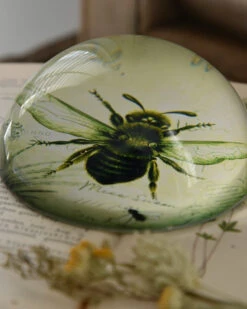 Botanische Insect Presse Papier Bij, Groot -Mode-Woondecoratiewinkel botanische insect presse papier bij groot 3