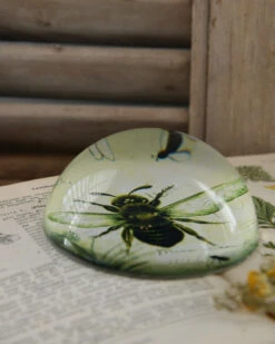 Botanische Insect Presse Papier Bij, Groot -Mode-Woondecoratiewinkel botanische insect presse papier bij groot 4