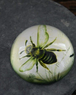 Botanische Insect Presse Papier Bij, Groot -Mode-Woondecoratiewinkel botanische insect presse papier bij groot 5