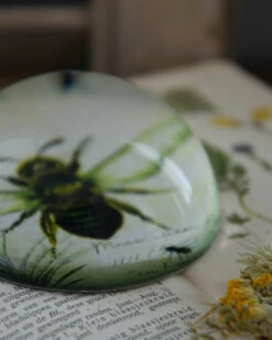 Botanische Insect Presse Papier Bij, Groot -Mode-Woondecoratiewinkel botanische insect presse papier bij groot 6