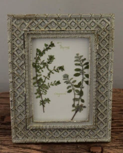 Brocante Lijstje Met Geperst Kruiden