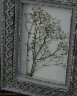 Brocante Lijstje Met Gewerkte Rand, Gipskruid -Mode-Woondecoratiewinkel brocante lijstje met gewerkte rand gipskruid 5