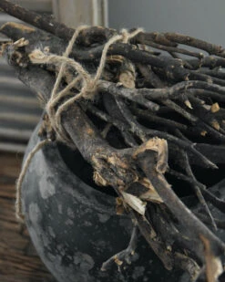 Bundel Takken Naturel 5 Bundel Takken Naturel -Mode-Woondecoratiewinkel bundel takken naturel 3