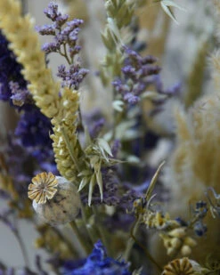 Droogbloem Pluk Boeket In Naturel Blauw Lila -Mode-Woondecoratiewinkel droogbloem pluk boeket in naturel blauw lila 7