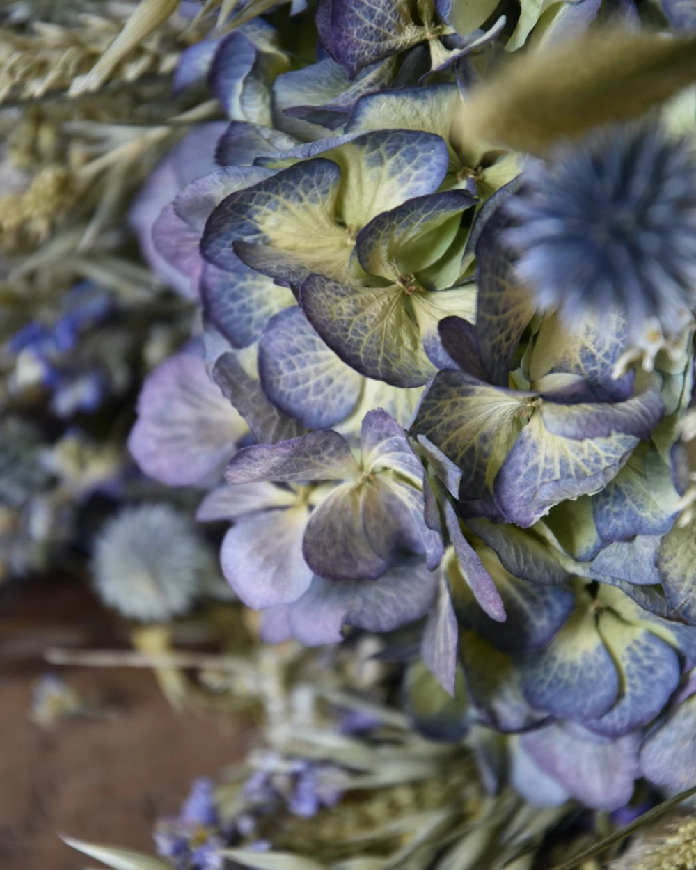 Droogbloemen boeket met Hortensia en Kogeldistels groen blauw Droogbloemen Boeket Met Hortensia En Kogeldistels Groen Blauw -Mode-Woondecoratiewinkel droogbloemen boeket met hortensia en kogeldistels groen blauw 4