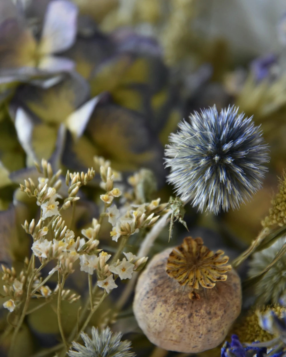 Droogbloemen boeket met Hortensia en Kogeldistels groen blauw Droogbloemen Boeket Met Hortensia En Kogeldistels Groen Blauw -Mode-Woondecoratiewinkel droogbloemen boeket met hortensia en kogeldistels groen blauw 5