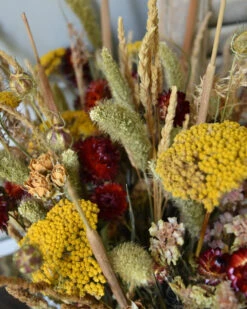 Droogbloemen Plukboeket In Naturel, Oranje/rood, Warm Geel En Groen 7 Droogbloemen Plukboeket In Naturel, Oranje/rood, Warm Geel En Groen -Mode-Woondecoratiewinkel droogbloemen plukboeket in naturel oranjerood warm geel en groen 5