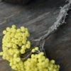 Fijne Gele Helichrysum Immortelle -Mode-Woondecoratiewinkel fijne gele helichrysum immortelle