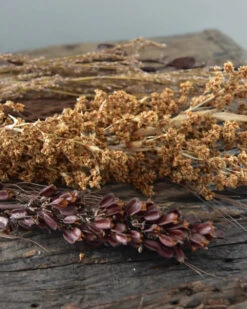 Gedroogde Gemengde Grassen En Zaaddozen 4 Gedroogde Gemengde Grassen En Zaaddozen -Mode-Woondecoratiewinkel gedroogde gemengde grassen en zaaddozen 2