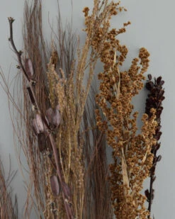 Gedroogde Gemengde Grassen En Zaaddozen 5 Gedroogde Gemengde Grassen En Zaaddozen -Mode-Woondecoratiewinkel gedroogde gemengde grassen en zaaddozen 3