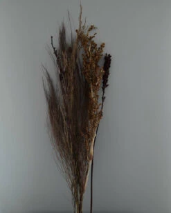 Gedroogde Gemengde Grassen En Zaaddozen 6 Gedroogde Gemengde Grassen En Zaaddozen -Mode-Woondecoratiewinkel gedroogde gemengde grassen en zaaddozen 4