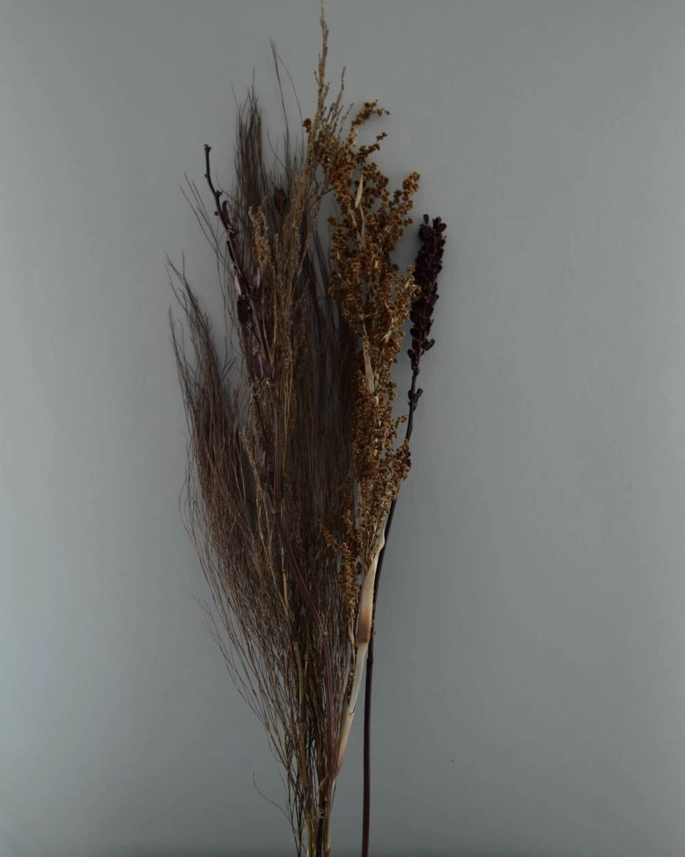 Gedroogde gemengde grassen en zaaddozen Gedroogde Gemengde Grassen En Zaaddozen -Mode-Woondecoratiewinkel gedroogde gemengde grassen en zaaddozen 4