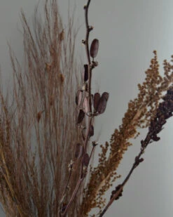 Gedroogde Gemengde Grassen En Zaaddozen 7 Gedroogde Gemengde Grassen En Zaaddozen -Mode-Woondecoratiewinkel gedroogde gemengde grassen en zaaddozen 5