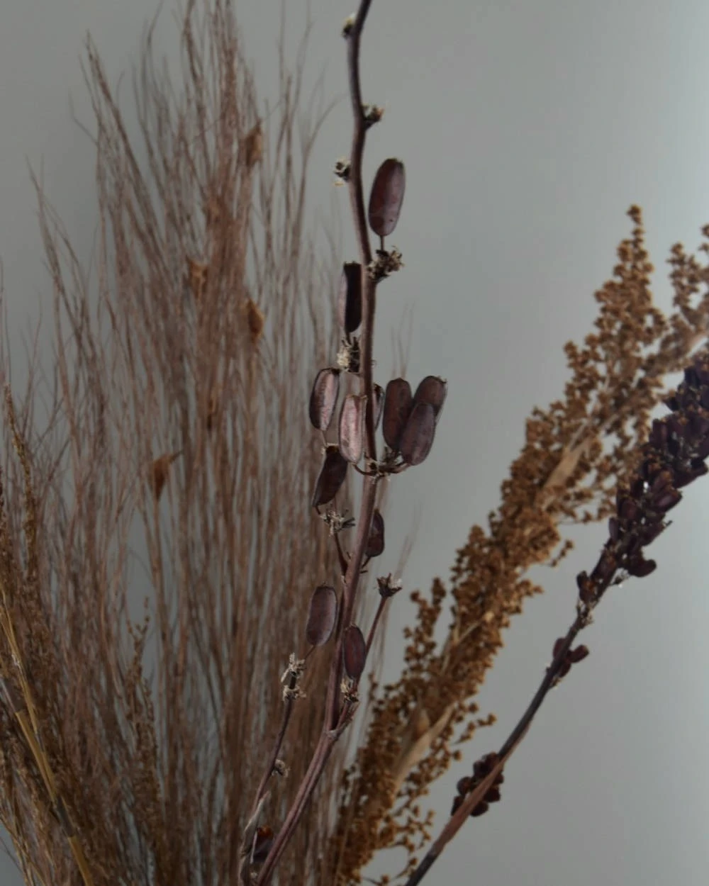 Gedroogde gemengde grassen en zaaddozen Gedroogde Gemengde Grassen En Zaaddozen -Mode-Woondecoratiewinkel gedroogde gemengde grassen en zaaddozen 5