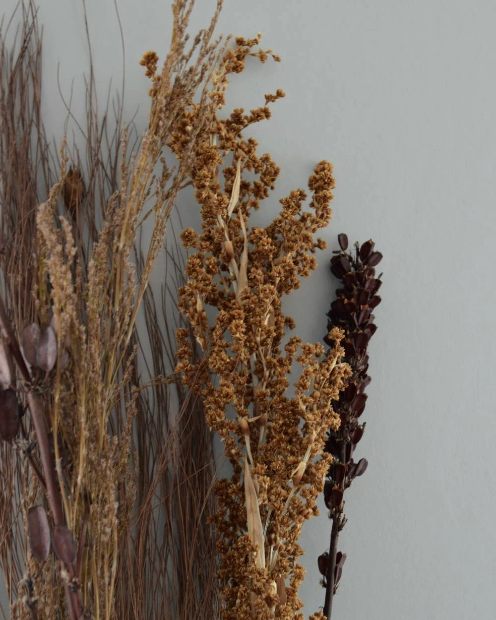 Gedroogde gemengde grassen en zaaddozen Gedroogde Gemengde Grassen En Zaaddozen -Mode-Woondecoratiewinkel gedroogde gemengde grassen en zaaddozen