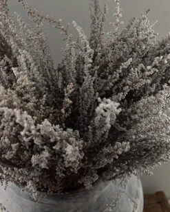 Gedroogde Gepreserveerde Stoebe Pluim -Mode-Woondecoratiewinkel gedroogde gepreserveerde stoebe pluim 1