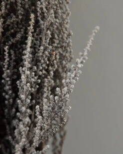 Gedroogde Gepreserveerde Stoebe Pluim -Mode-Woondecoratiewinkel gedroogde gepreserveerde stoebe pluim 2