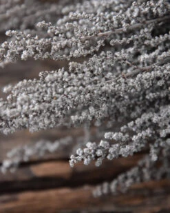 Gedroogde Gepreserveerde Stoebe Pluim -Mode-Woondecoratiewinkel gedroogde gepreserveerde stoebe pluim 3