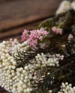 Gedroogde Rice Flower 4 Gedroogde Rice Flower -Mode-Woondecoratiewinkel gedroogde rice flower 2