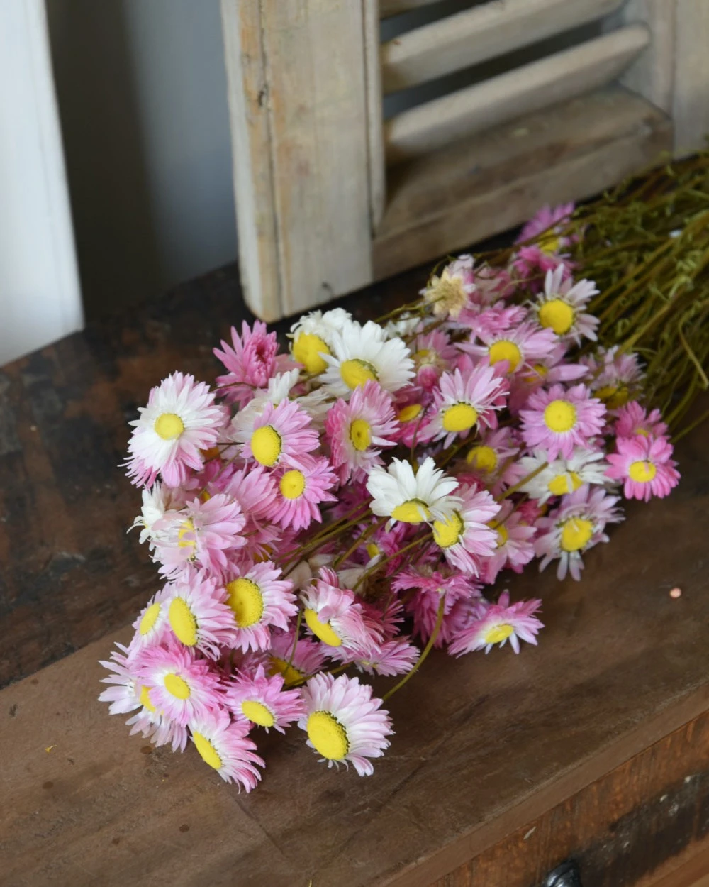 Gemengde Acroclinium droogbloemen in wit en roze Gemengde Acroclinium Droogbloemen In Wit En Roze -Mode-Woondecoratiewinkel gemengde acroclinium droogbloemen in wit en roze