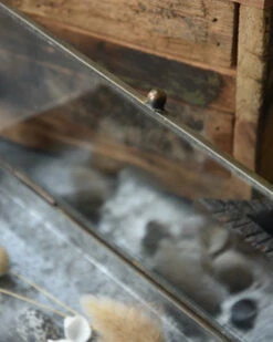 Glazen Kistje In Antiek-look Met Zinken Bodem, IB Laursen -Mode-Woondecoratiewinkel glazen kistje in antiek look met zinken bodem ib laursen 3