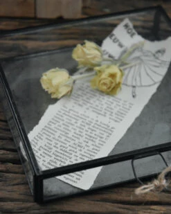 Glazen Kistje Met Zinken Bodem, IB Laursen 4 Glazen Kistje Met Zinken Bodem, IB Laursen -Mode-Woondecoratiewinkel glazen kistje met zinken bodem ib laursen 2