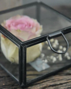 Glazen Kistje Vierkant, IB Laursen