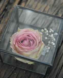 Glazen Kistje Vierkant, IB Laursen -Mode-Woondecoratiewinkel glazen kistje vierkant ib laursen 6