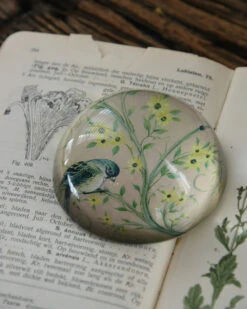 Halve Bol Van Glas Met Vogels In Pastel -Mode-Woondecoratiewinkel halve bol van glas met vogels in pastel 5