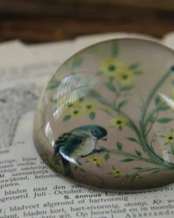 Halve Bol Van Glas Met Vogels In Pastel -Mode-Woondecoratiewinkel halve bol van glas met vogels in pastel 7