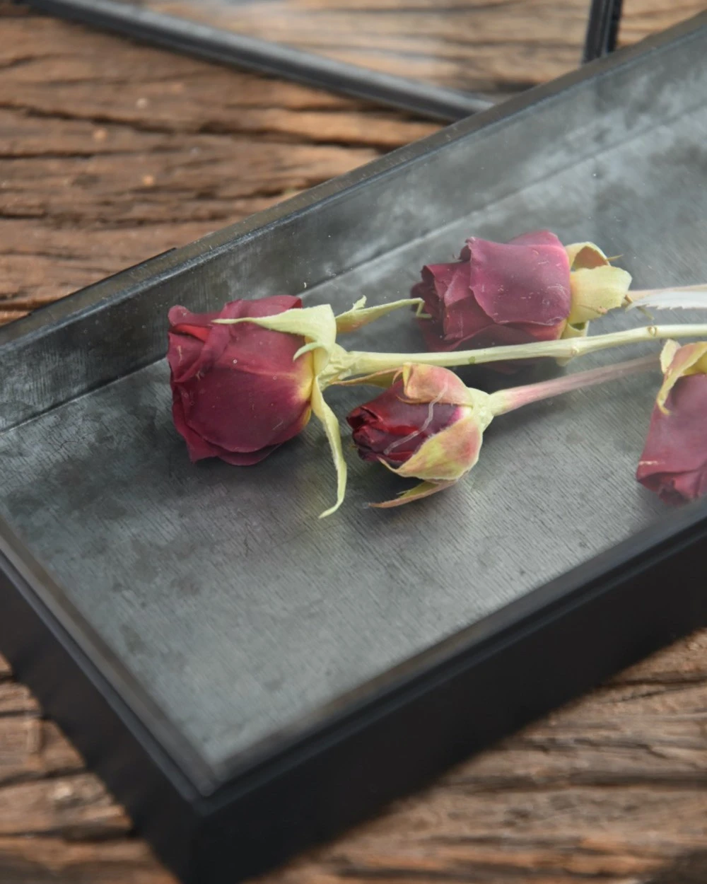 Langwerpig kistje met glazen deksel Langwerpig Kistje Met Glazen Deksel -Mode-Woondecoratiewinkel langwerpig kistje met glazen deksel