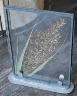 Lijstje Met Geperste Graspluim -Mode-Woondecoratiewinkel lijstje met geperste graspluim 2