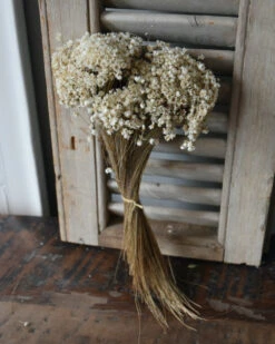 Marcela Droogbloemetjes In Naturel Wit 4 Marcela Droogbloemetjes In Naturel Wit -Mode-Woondecoratiewinkel marcela droogbloemetjes in naturel wit 2