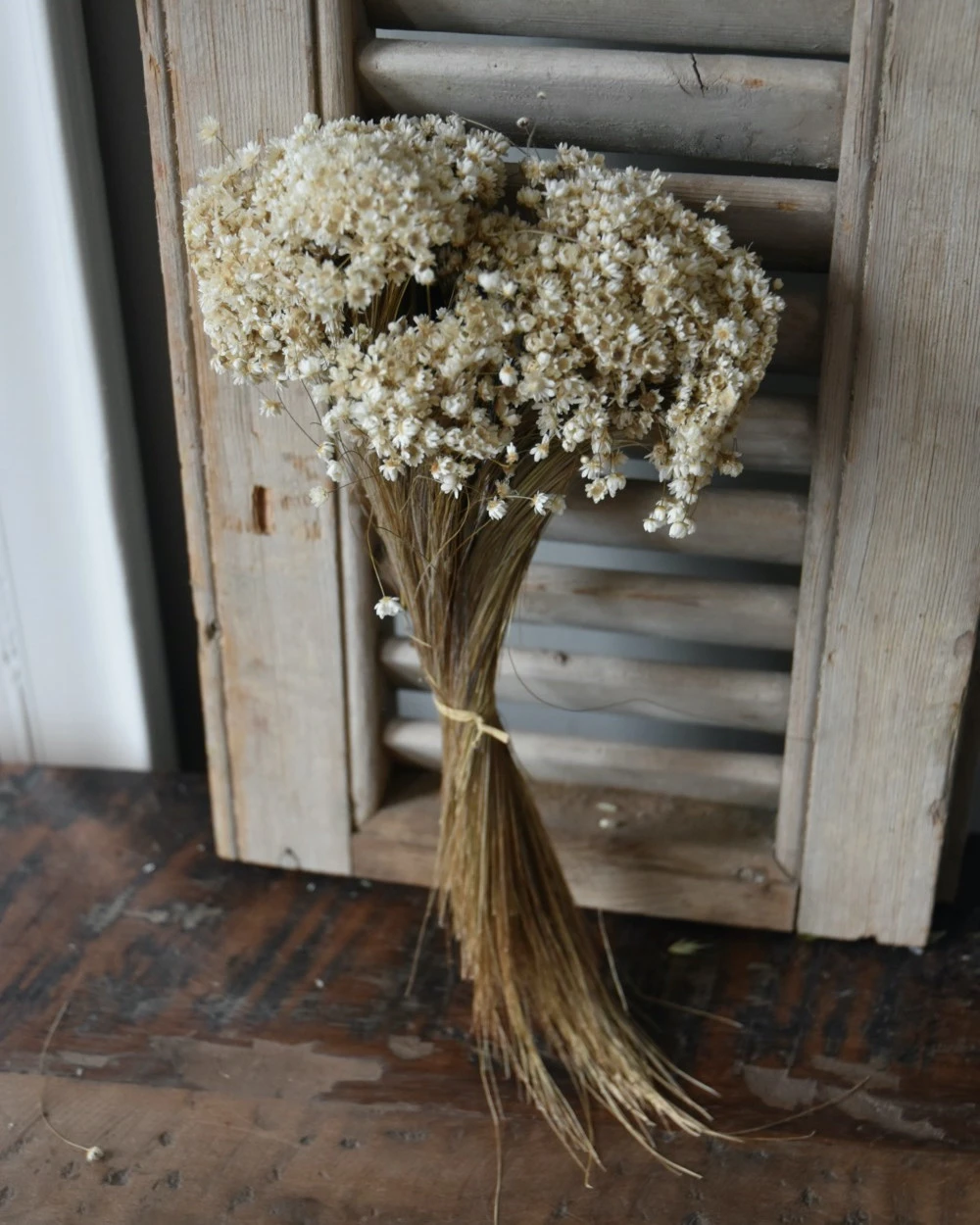 Marcela droogbloemetjes in naturel wit Marcela Droogbloemetjes In Naturel Wit -Mode-Woondecoratiewinkel marcela droogbloemetjes in naturel wit 2