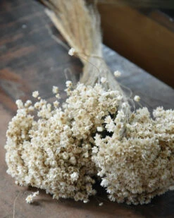 Marcela Droogbloemetjes In Naturel Wit