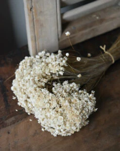 Marcela Droogbloemetjes In Naturel Wit 5 Marcela Droogbloemetjes In Naturel Wit -Mode-Woondecoratiewinkel marcela droogbloemetjes in naturel wit 3