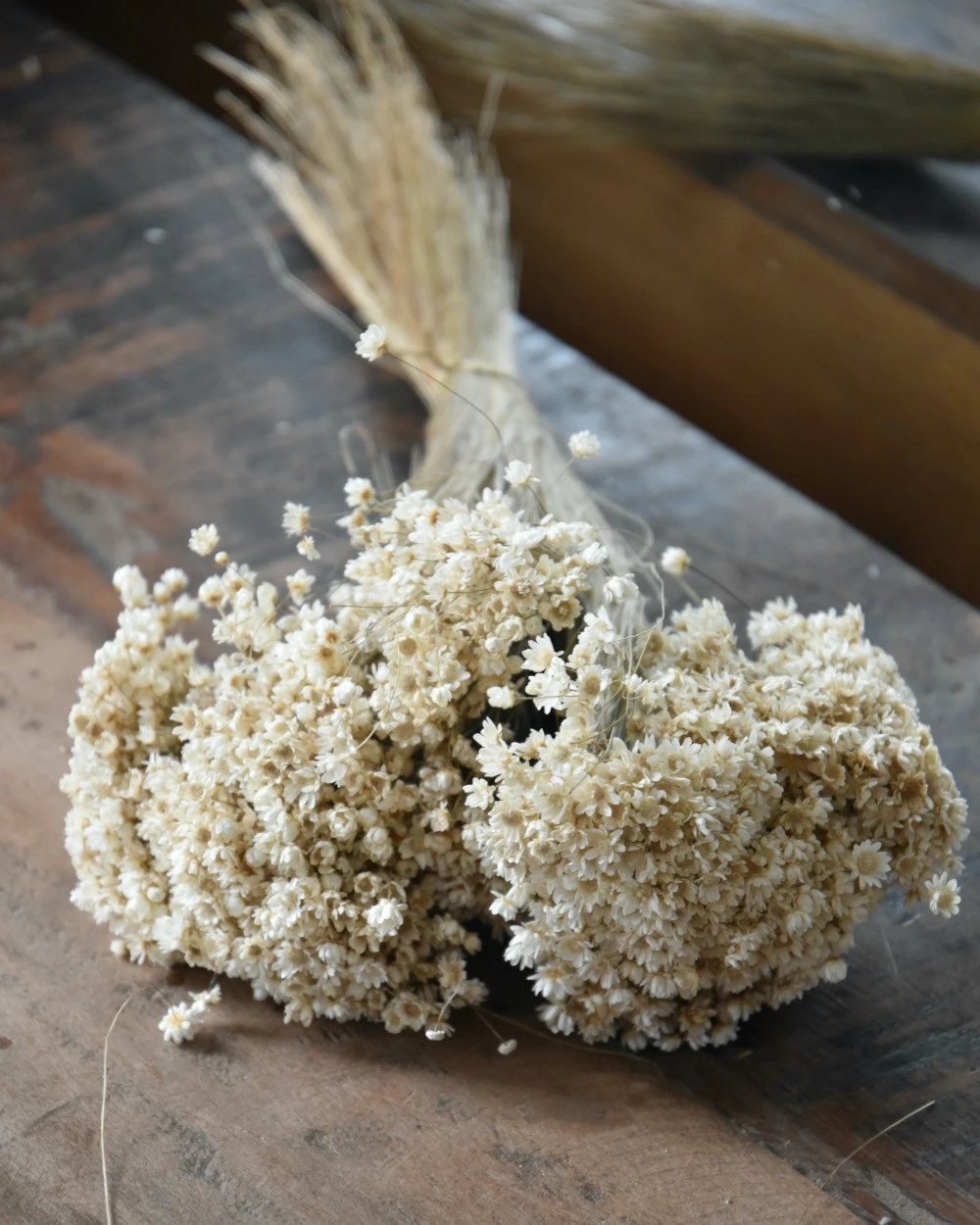 Marcela droogbloemetjes in naturel wit Marcela Droogbloemetjes In Naturel Wit -Mode-Woondecoratiewinkel marcela droogbloemetjes in naturel wit 4