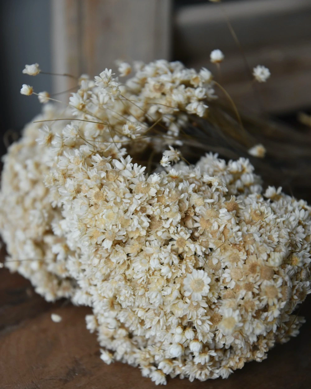 Marcela droogbloemetjes in naturel wit Marcela Droogbloemetjes In Naturel Wit -Mode-Woondecoratiewinkel marcela droogbloemetjes in naturel wit 5
