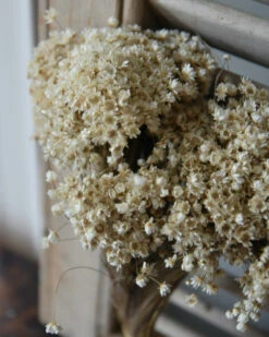 Marcela Droogbloemetjes In Naturel Wit 8 Marcela Droogbloemetjes In Naturel Wit -Mode-Woondecoratiewinkel marcela droogbloemetjes in naturel wit 6