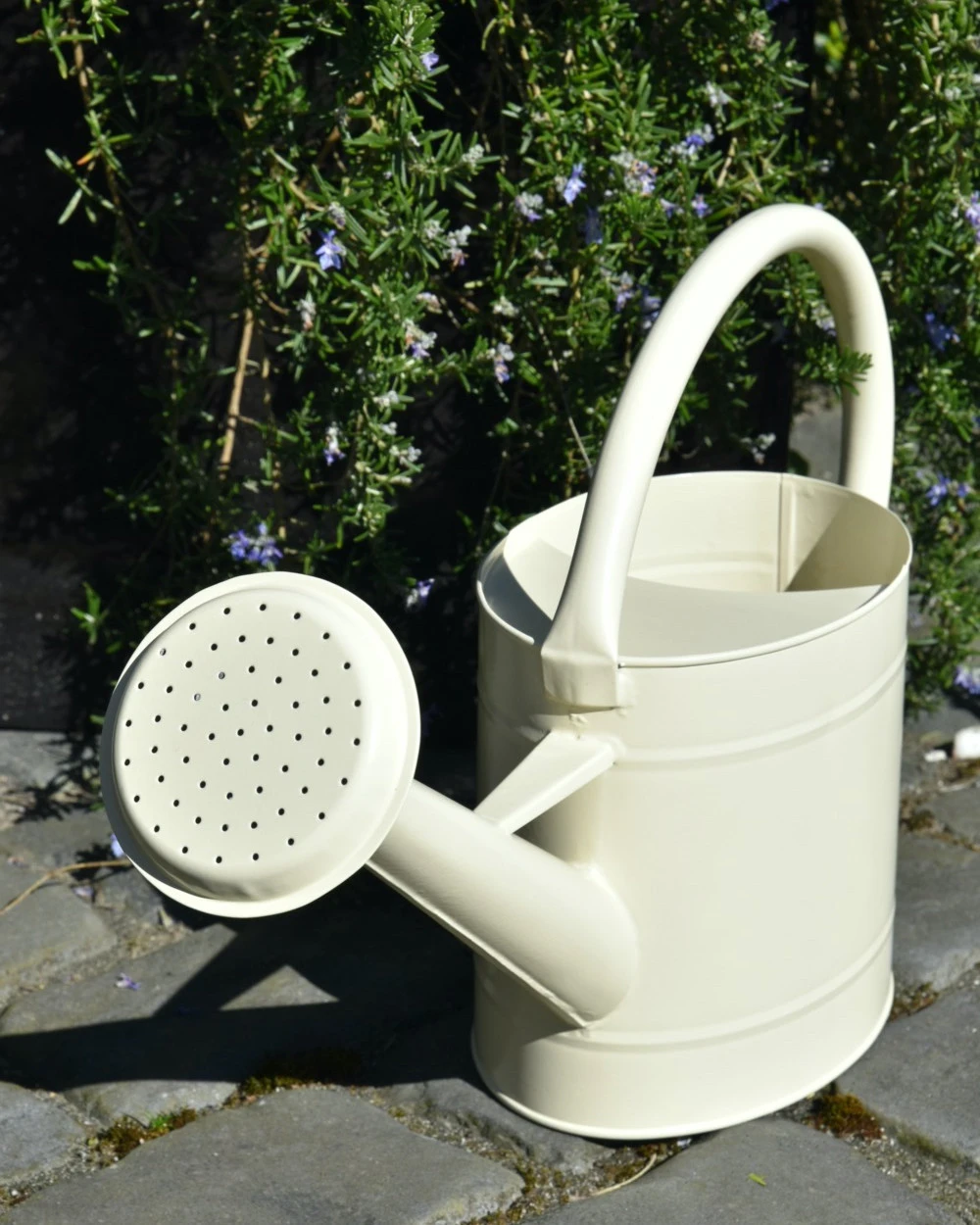 Metalen gieter in cream met sproeikop 5 ltr, IB Laursen Metalen Gieter In Cream Met Sproeikop 5 Ltr, IB Laursen -Mode-Woondecoratiewinkel metalen gieter in cream met sproeikop 5 ltr ib laursen