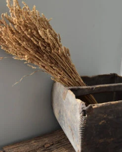 Oude Rijstmaat China Met Prachtige Details -Mode-Woondecoratiewinkel rijstmaat china 3