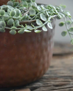 Rond Metalen Schaal Met 'bobbel' Structuur, Klein -Mode-Woondecoratiewinkel rond metalen schaal met bobbel structuur klein 2