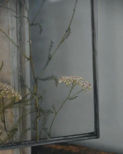 Geperste Schermbloemen In Een Lijst Met Kettinkje -Mode-Woondecoratiewinkel schermbloemen in een grote lijst met kettinkje 4