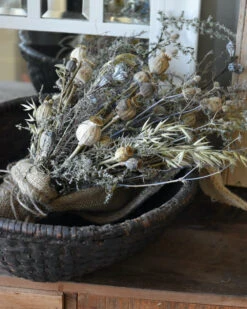 Sobere Droogbloem Toef In Oude Leemmand