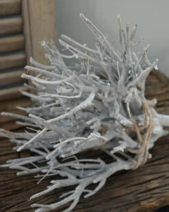 Takken Bundel White-wash