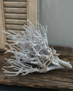 Takken Bundel White-wash -Mode-Woondecoratiewinkel takken bundel white wash 1 4