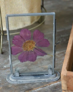 Violet Kleurige Geperste Bloem In Lijstje -Mode-Woondecoratiewinkel violet kleurige geperste bloem in lijstje 3