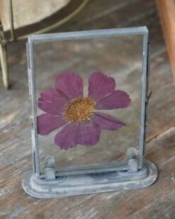 Violet Kleurige Geperste Bloem In Lijstje -Mode-Woondecoratiewinkel violet kleurige geperste bloem in lijstje 4